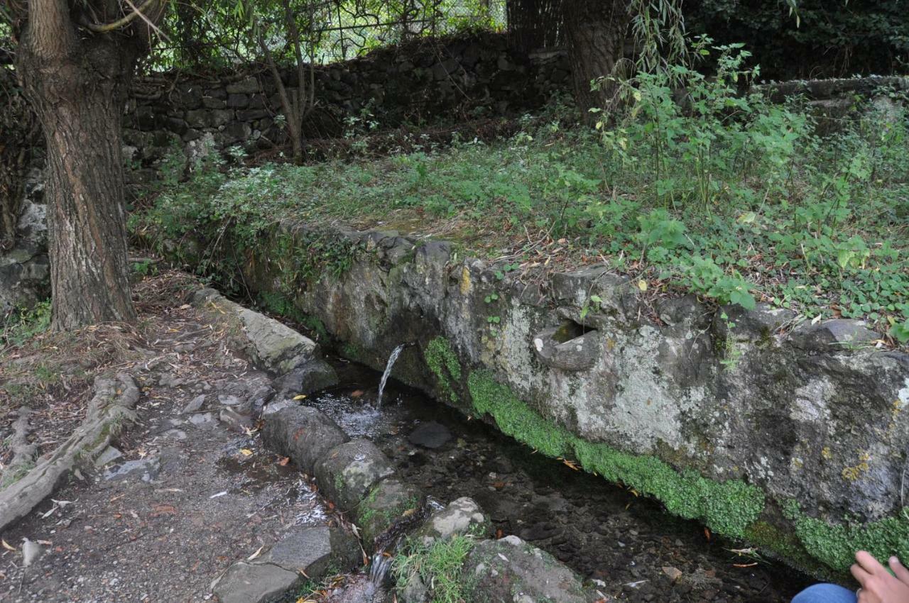 El Lilà * Olot